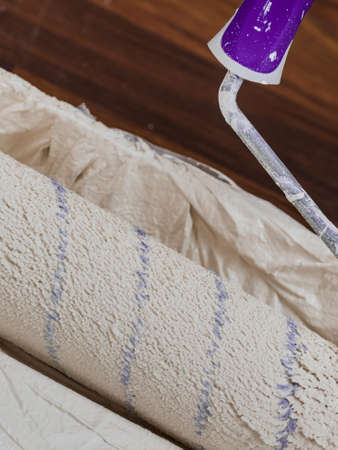 Home renovation, walls color change, diy concept. White paint with essentials equipment.