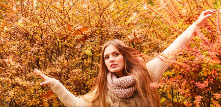 Beautiful autumn season. Fashionable mystery woman posing against colorful autumnal leaves outdoor in parkの写真素材