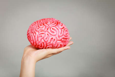 Woman hand holding brain. Having something on mind, thinking of solution idea concept.の写真素材