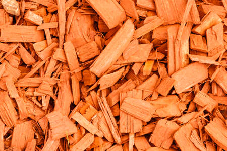 Peat bark brown texture background, many little pieces of wood. Pattern concept.