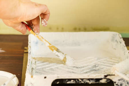 Home renovation, walls color change, diy concept. White paint with essentials equipment.