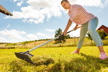 Woman raking leaves using rake. Person taking care of garden house yard grass. Agricultural,...