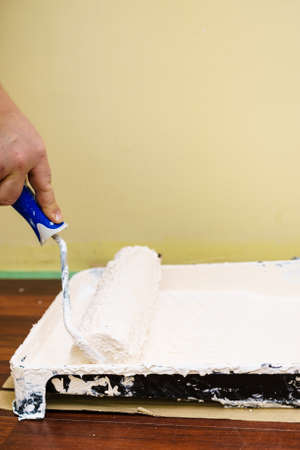 Home renovation, walls color change, diy concept. White paint with essentials equipment.の写真素材