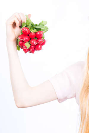 Woman hand holding pink red delicious raddish vegetable on blue studio background.