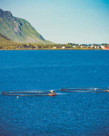 Salmon fishing fish farm on the sea in Lofoten islands Norway.の写真素材