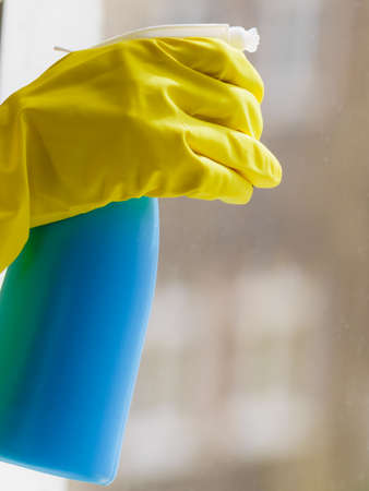 Person spraying window cleaning detergent in spray bottle. House clean products, household care equipment.の写真素材