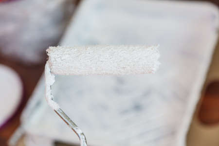 Home renovation, walls color change, diy concept. White paint with essentials equipment.の写真素材