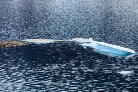 Ice fragments in river or lake water. Dark blue natural background