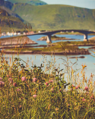 Norwegian scenic landscape on Lofoten archipelago. Road and bridge connecting the islands over the sea. National tourist route 10 Norway.の写真素材