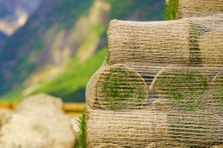 Stacks of sod rolls for new lawn. Natural grass turf for installing making new fieldの写真素材