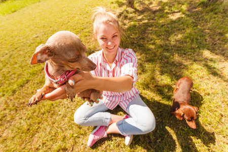 Woman playing with little pinscher ratter prazsky krysarik crossbreed small dog outside on grass during summer spring weatherの写真素材