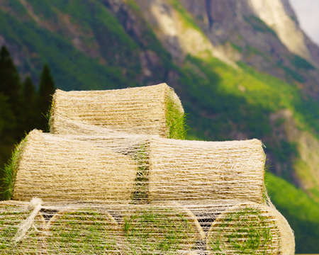 Stacks of sod rolls for new lawn. Natural grass turf for installing making new field