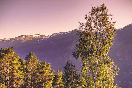 Norway hiking area, scenic mountains landscape in summer.