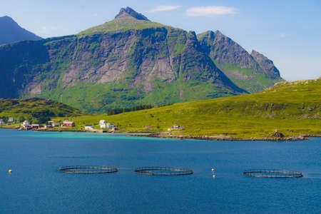 Salmon fishing fish farm on the sea in Lofoten islands Norway.の写真素材