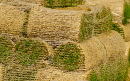 Stacks of sod rolls for new lawn. Natural grass turf for installing making new fieldの写真素材