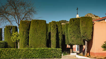Green plant trees and chapel. Mediterranean nature park.