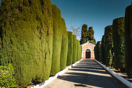 Green plant trees along path to chapel. Mediterranean nature park.