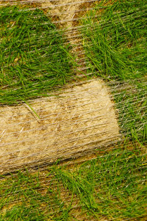 Stacks of sod rolls for new lawn. Natural grass turf for installing making new fieldの写真素材