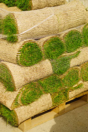 Stacks of sod rolls for new lawn. Natural grass turf for installing making new fieldの写真素材