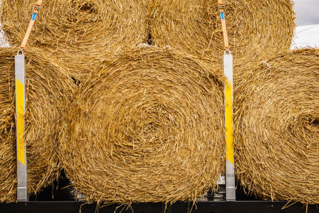 Agriculture and harvesting. Close up of cereal bale of hay outdoors