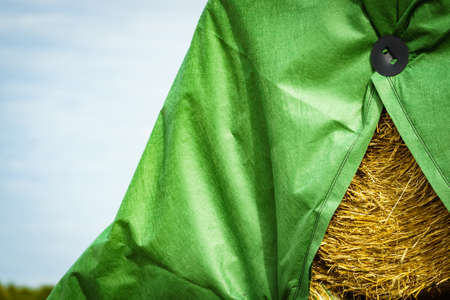 Agriculture and harvesting. Cereal bale of hay covered with plastic foil, green tarpaulin.