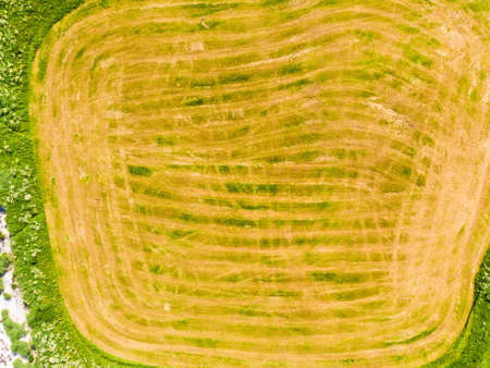 Top down view. Green land with field meadow in summer time. Nature background.の写真素材