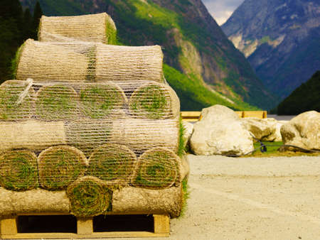 Stacks of sod rolls for new lawn. Natural grass turf for installing making new field. Mountains...