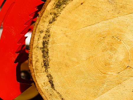 Loader with big log. Industrial woods processing. Heavy machine detail
