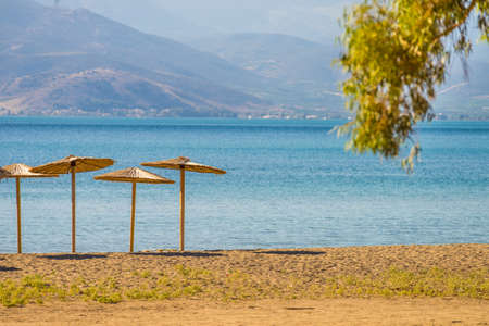 Sun parasols giving shadow at sandy beach with nobody near sea water.
