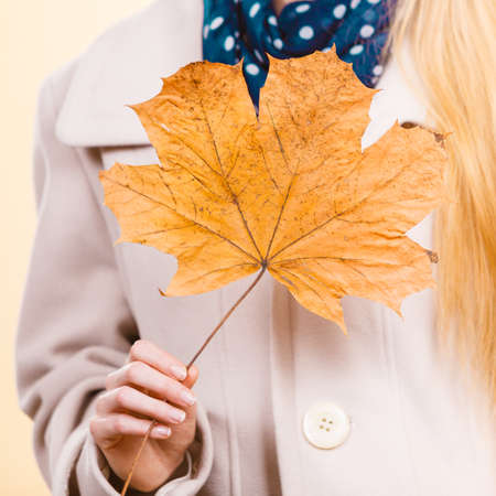 Autumnal natural decorations concept. Woman holding autumn leaf. Studio shot on orange background.