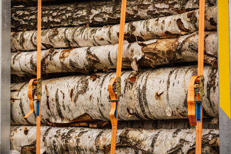 Timber logging. Freshly cut tree wooden logs on truck.の写真素材