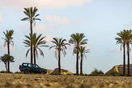 Landscape with palm trees and off road car in Sierra Alhamilla mountain range, Spain.