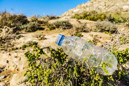 Plastic empty water bottle abandoned on nature. Environmental pollution global ecological problem. Earth ecology.の写真素材