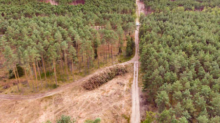 Aerial view. Green forest with deforestation area, Tuchola national park in Poland. Wood cutting.