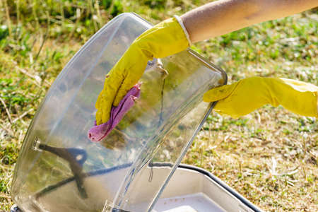 Woman cleaning caravan sunroof. Traveling with motor home