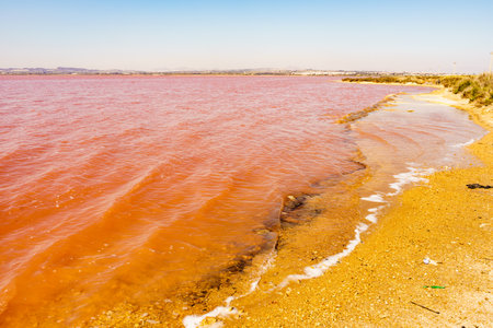The pink lake of Torrevieja in Spain, Alicante province. Coastal landscape. Tourist attraction