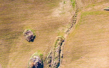 Aerial view of green fields. Andalusia landscape from above, Spain.の写真素材