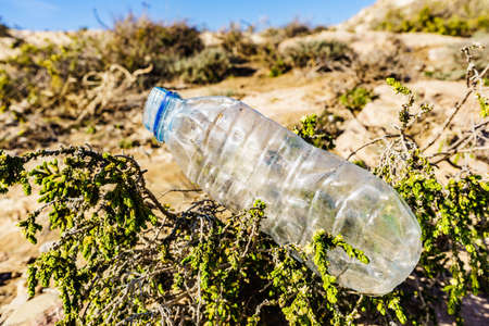 Plastic empty water bottle abandoned on nature. Environmental pollution global ecological problem....