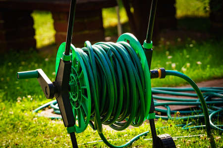 Green gardening hose for watering flowers and grass outsideの写真素材