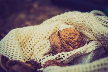 Walnut in burlap sack. Healthy food full of omega 3 fatty acids, organic nutrition.の写真素材