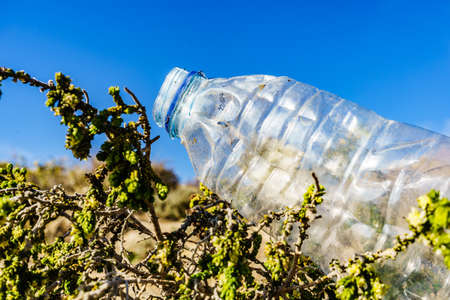 Plastic empty water bottle abandoned on nature. Environmental pollution global ecological problem. Earth ecology.の写真素材