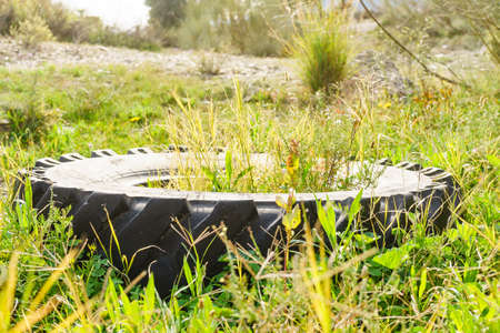 Destroyed rubber car tire on grass. Environmental protection. Waste pollution problem.