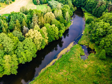 Aerial view. Green forest and river Brda, canoe trail in Tuchola national park, Poland. Green summer landscape in Europe.の写真素材