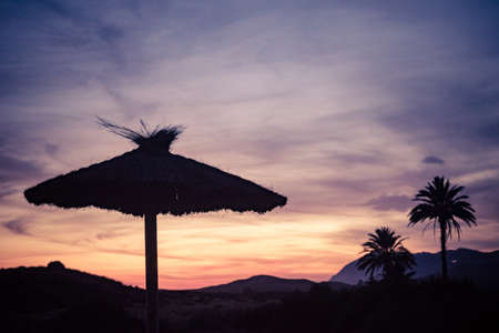 Silhouette palm trees against sky after sunset. Evening landscape. Calblanque natural park, Murcia Spain.の写真素材