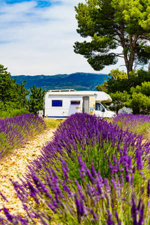 Camper vehicle camping on summer nature at lavender blooming purple field in France. Holidays, vacation with motorhome.の写真素材