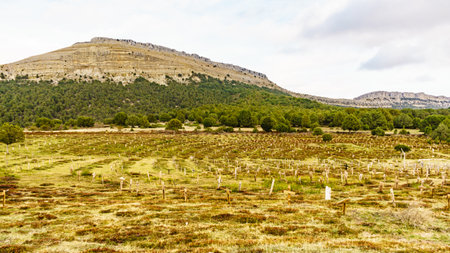 Sad Hill Cemetery in Burgos Spain. Tourist place, film location where the last sequence of the western film The Good, the Bad and the Ugly was filmed.の写真素材