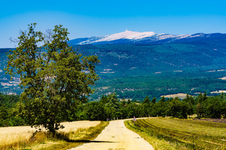Mountain landscape with Mont Ventoux in the distance, Provence France.の写真素材