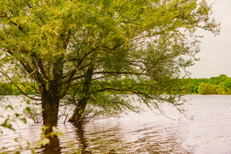 Lake Bultiere landscape in Vendee France. Spring summer nature.の写真素材