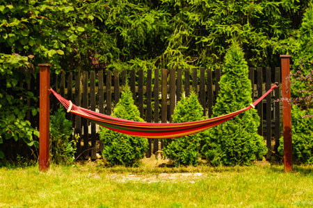 Colorful hammock for rest in gardenの写真素材