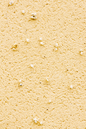 Yellow bright painted plaster cement wall. Light background textureの写真素材